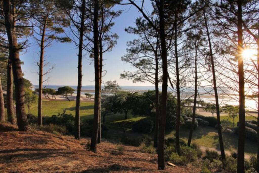 Appart Sur La Plage Pied Dans L Eau Avec Terrasse Jardin Vue Sur Le Bassin Depuis La Terrasse , Parking Arcachon Exterior foto