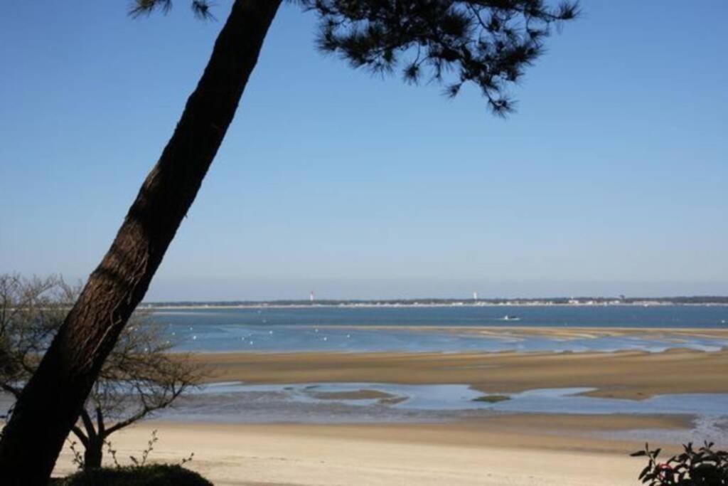 Appart Sur La Plage Pied Dans L Eau Avec Terrasse Jardin Vue Sur Le Bassin Depuis La Terrasse , Parking Arcachon Exterior foto