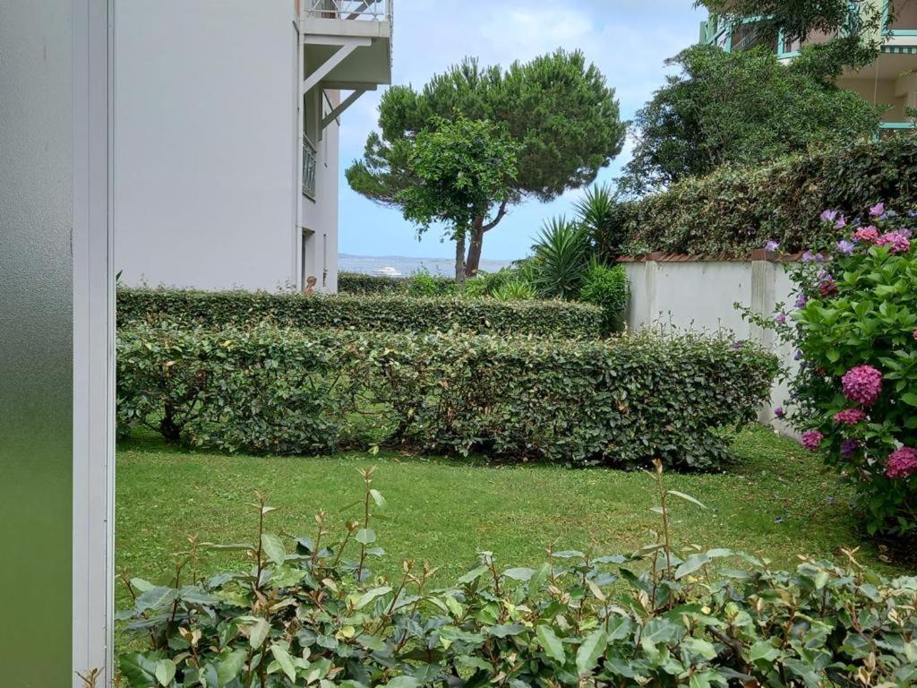 Appart Sur La Plage Pied Dans L Eau Avec Terrasse Jardin Vue Sur Le Bassin Depuis La Terrasse , Parking Arcachon Exterior foto